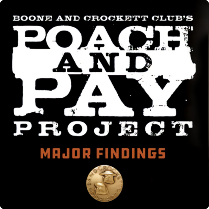 Poach and Pay Project promotional image
